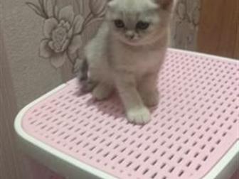 , 2 ,   ,  ,      