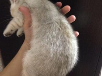 , 2 ,   ,  ,      