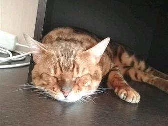    ,  2   1 ,  