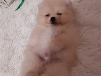 ,  2 ,      ,   ,  