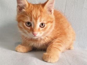 , ,  !  , ,  ,    ,     ,  