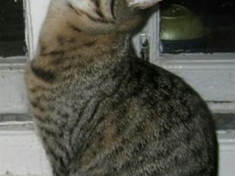      ,   7 ,     ,  , , )      