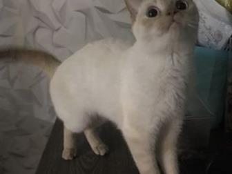     ,  !  ,  ,,, 2 ,     ,  