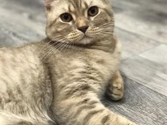   ,   , ,   ??  