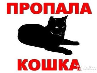 17, 10, 2019       !!!     ,    !   2  ,    