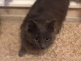      ,  , , ,   ,   ,   ,  