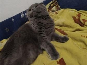 3,5  ,   ,  ,     ,      ,          ,       