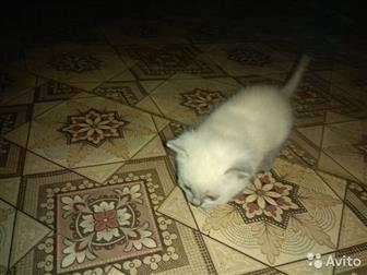      ,        ,  ,  ,   ,  